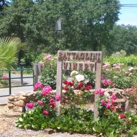 Battaglini Winery